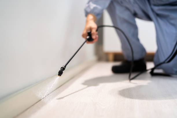 Licensed Rodent Control service in Flint, MI - Nex Pest Control