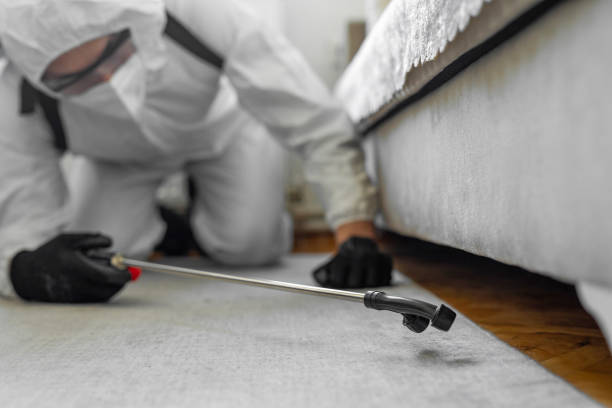 Professional Rodent Control technician working in Flint, MI