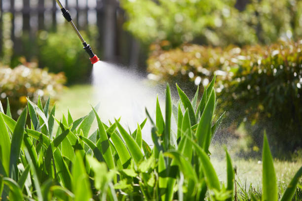 24/7 Emergency Rodent Control experts in Flint, MI