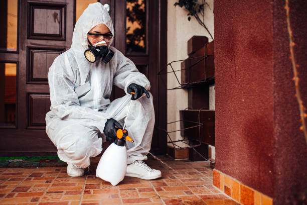 Reliable Rodent Control contractor in Flint, MI by Nex Pest Control