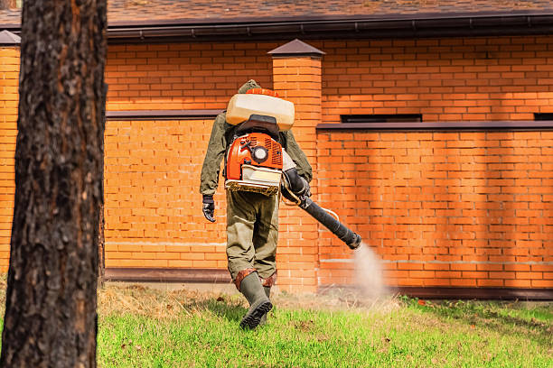 Top rated local Rodent Control specialists in Flint, MI